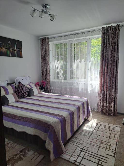 Appartamento Casuta Cu Povesti Campina Esterno foto